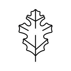 A black outline of an oak leaf against a white backdrop The leaf has prominent lobes and veins