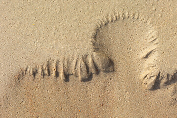 Beautiful ornamental sand patterns made by flowing water on the beach of Baltic Sea. Sunny summer day in Latvia.