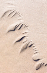 Beautiful ornamental sand patterns made by flowing water on the beach of Baltic Sea. Sunny summer day in Latvia.