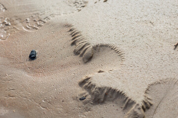Beautiful ornamental sand patterns made by flowing water on the beach of Baltic Sea. Sunny summer day in Latvia.