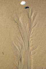 Beautiful ornamental sand patterns made by flowing water on the beach of Baltic Sea. Sunny summer day in Latvia.