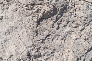 Cracked white stone surface with natural patterns and textures