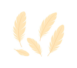 collection of delicate feathers sunlight gentle texture calm scene no outline flat vector illustration style isolated on white background soft palette