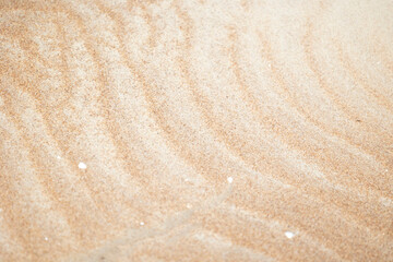 Beautiful sand patterns at the beach of Baltic Sea. Sunny summer evening in Latva.