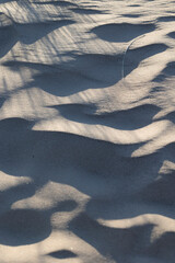 Beautiful sand patterns at the beach of Baltic Sea. Sunny summer evening in Latva.