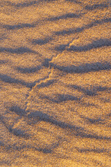 Beautiful sand patterns at the beach of Baltic Sea. Sunny summer evening in Latva.