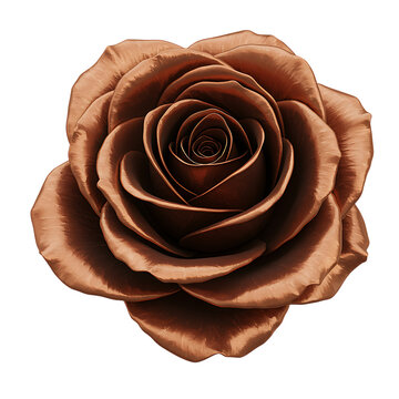 A detailed bronze rose illustration with intricate petals on transparent background