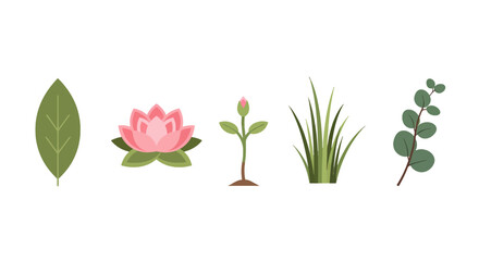 Set of botanical flat icons green leaf pink lotus flower sprout grass and eucalyptus sprig.