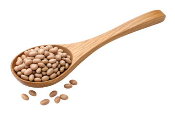  pinto beans isolated on transparent cutout background
