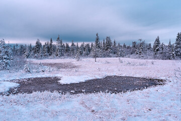Landscape at Østhøgda Hill, part of the Totenåsen Hills, Norway, in October 2025.