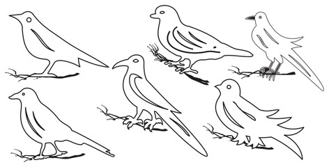 Minimal bird outline vector illustration set.