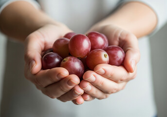 Gently cupped hands offer a bountiful harvest of ripe, juicy red grapes, symbolizing freshness and natural goodness for healthy living.