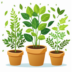 Obraz premium Stylized illustration of potted plants with green foliage and scattered leaves