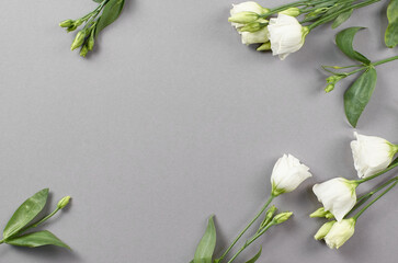 White flowers arranged artistically on a soft gray background, showcasing delicate petals and lush...