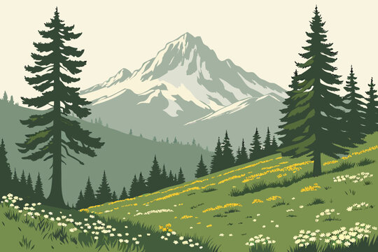 Alpine meadow near Mount Shasta, California.