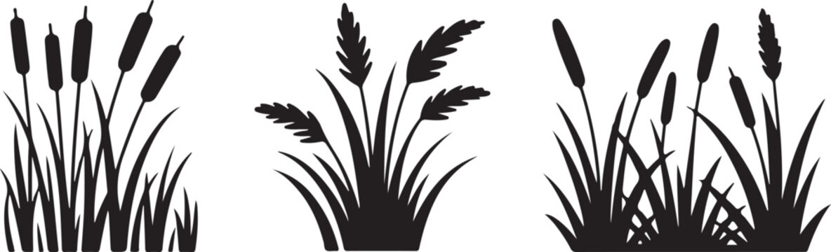 Cattail grass silhouette, black nature plant, marsh vegetation, wild reed bush, field element vector. Silhouette of cattails and reeds. Wild grass on the river bank. Swamp coastal plants.