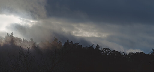 Passend zum Fest Halloween die passenden Wolken, dramatisch, Nebel bei Sonnenaufgang über Wald
