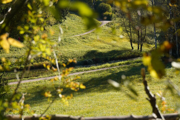 Autumn  yellow  bright golden trees in the garden, forest, park.