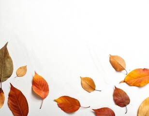 Autumn Leaves on White Background - A Seasonal Composition.