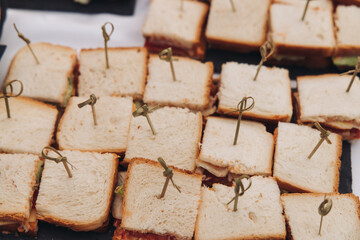Decorated catering table, banquet with variety of different gourmet exquisite food snacks appetizers on corporate birthday party event or wedding celebration, canape, salad, delicatessen setting