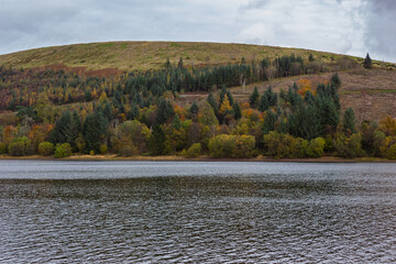 A cleared forestry hillside above Pontsticill Reservoir contrasts with the mature autumnal woodland along the shoreline in Bannau Brycheiniog National Park (Brecon Beacons), Wales