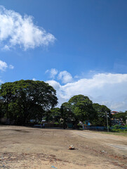 Fototapeta premium Open Space with Trees and Blue Sky filled with Clouds Scenery