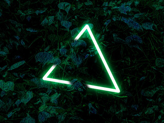 Neon Green Triangle Glowing in the Dark with Foliage Background
