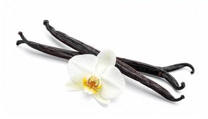 Two Dark Vanilla Beans and a White Orchid Flower on a Clean White Background in Natural Daylight