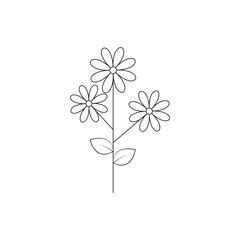 Floral background with flowers and Flower vector illustration