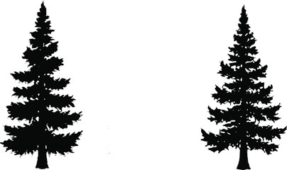Evergreen tree silhouette, pine forest graphic, conifer shape illustration, nature icon, botanical art, isolated gray trees, minimal design