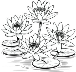 Black and white line art illustration of lotus flowers with lily pads on water, detailed floral drawing for coloring and design