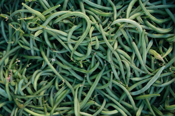 Heap of fresh green beans forming a dense textured background, showcasing natural shapes and organic freshness.