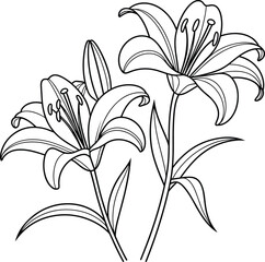 Elegant black and white lily flower line drawing, minimalist botanical illustration, floral tattoo design, nature outline art, delicate blooming flowers