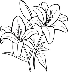 Elegant black and white lily flower line drawing, minimalist botanical illustration, floral tattoo design, nature outline art, delicate blooming flowers
