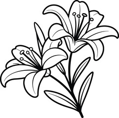 Elegant black and white lily flower line drawing, minimalist botanical illustration, floral tattoo design, nature outline art, delicate blooming flowers