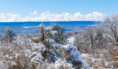 Snow-covered trees and rolling hills create a peaceful winter landscape under a clear blue sky. This scenic rural view captures the quiet beauty of the cold season in a natural countryside setting.