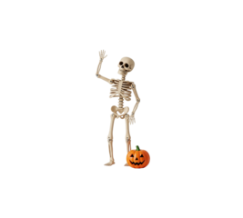 3D render Halloween decoration cheerful human skeleton waving hand beside pumpkin