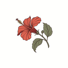  Realistic Hibiscus with Leaf Vector