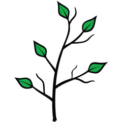 Branch with Green Leaves