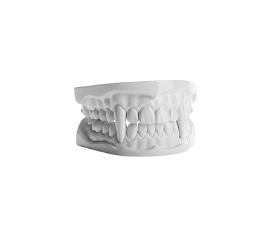 White 3D render of sharp vampire teeth model isolated on transparent background horror prop