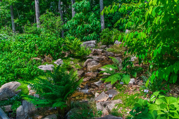 Obraz premium The water doesn’t fear the rocks — it finds its way through, Atlanta Botanical Garden, Gainesville, Georgia, United States of America