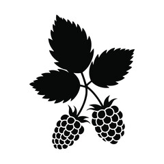 Blackberry leaf with fruit vector silhouette