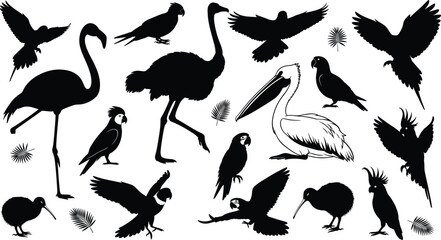 Bird silhouette vector, flying and standing poses, tropical and exotic species, black nature icons for design, education, wildlife, and decoration