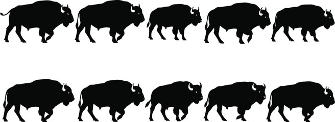 Bison silhouette vector set, black and white walking poses, wildlife motion sequence, running buffalo illustration, animal gait cycle, nature clipart