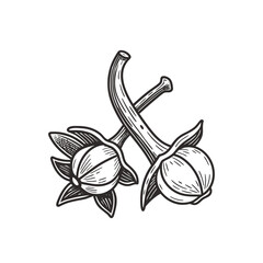 vector icon of cloves icon symbol