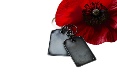 Steel dog tags displayed neatly representing courage remembrance and dedication of armed forces heroes isolated on white background PNG