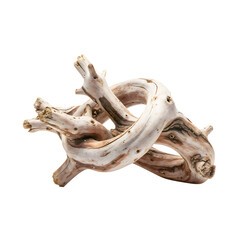 Beautifully gnarled and twisted white wood branch, resembling natural driftwood. Isolated on a plain background, highlighting its unique organic form. Great for rustic or abstract concepts.