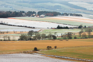 A patchwork of frosty fields in rural countryside stretches across the rolling farmland near Kennoway in Fife, Scotland with a view to the distant Lomond Hills on a calm winter morning.