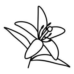 neroli icon