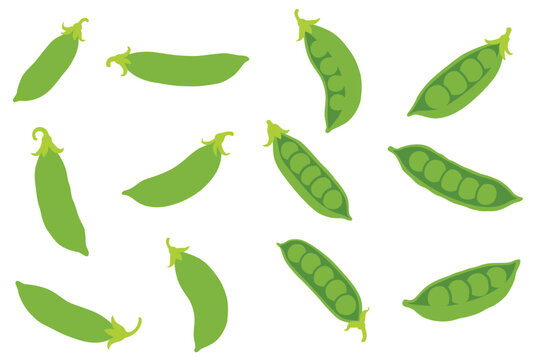 Green peas isolated on white background. Vector eps 10	 - Powered by Adobe